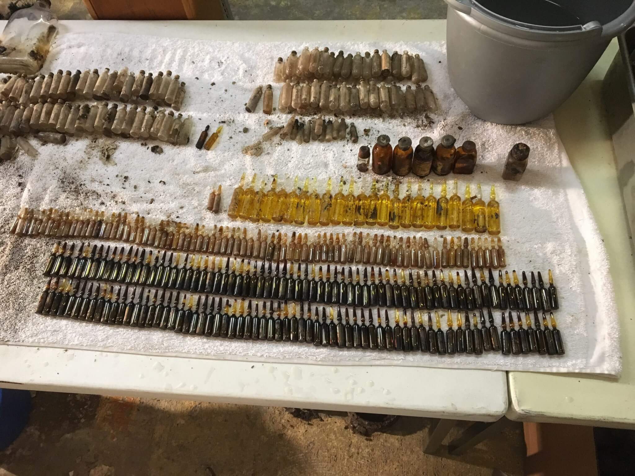 Bonnie & Clyde in Hugoton, KS: New Medicine Findings Inspire KUMC Exhibit, Open to the Public through May